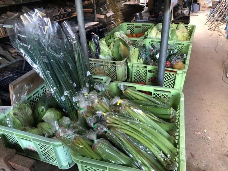 Nagasaki Sasebo: Traditional Cooking Class in Japanese House - What Makes This Cooking Class Stand Out?