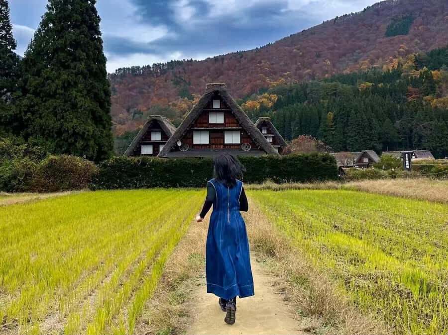 Nagoya: 2-Day Shirakawa-go, Kanazawa & Takayama Tour - A Detailed Look at the Itinerary and Highlights