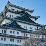 Nagoya City Cherry Blossom Private Sightseeing Tour - FAQs