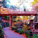 Nagoya: Exploring the Beauty of Tokugawa-en Garden - An Authentic Look at Tokugawa-en Garden