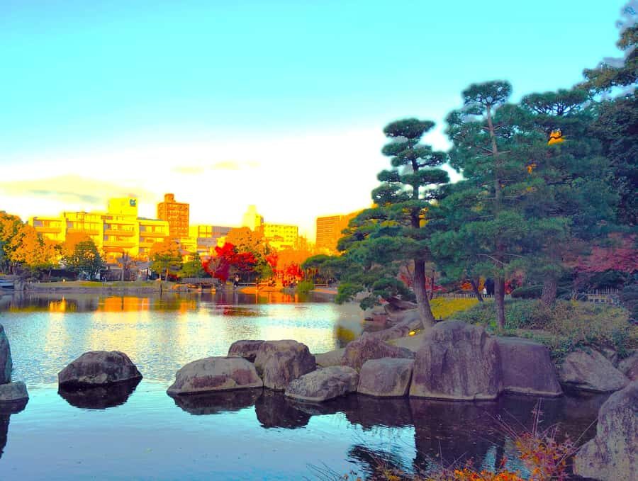 Nagoya: Exploring the Beauty of Tokugawa-en Garden - Final Thoughts: Who Will Love This Tour?