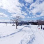Nagoya: Gujo Hachiman, Snow Park, & Onsen Day Trip - Snow Park: Fun in the Winter Wonderland