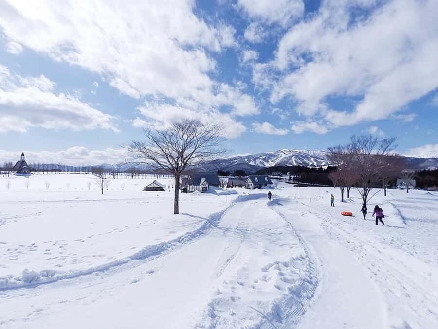 Nagoya: Gujo Hachiman, Snow Park, & Onsen Day Trip - Snow Park: Fun in the Winter Wonderland