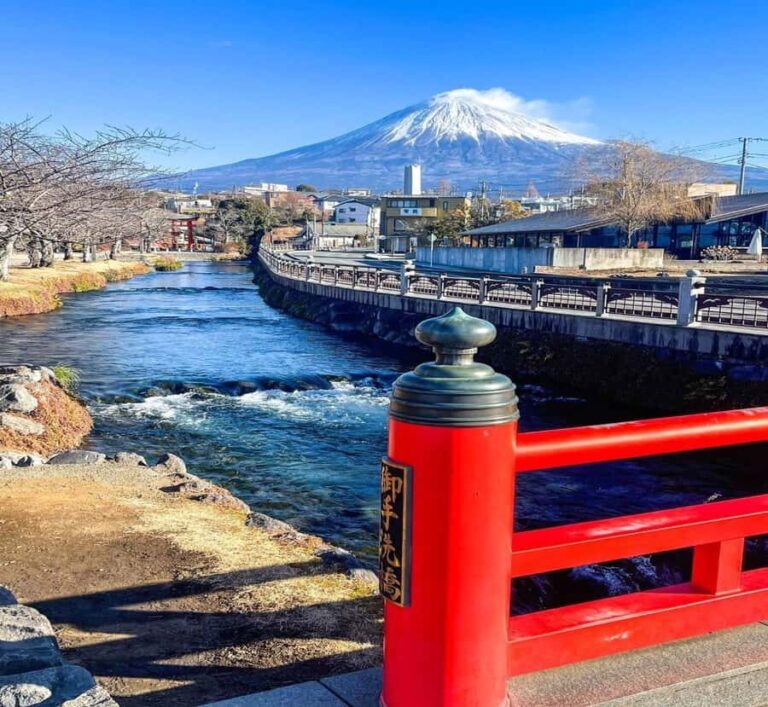 Nagoya: Mount Fuji Private Full-Day Scenic Tour With Guide - An In-Depth Look at the Mount Fuji Private Scenic Tour