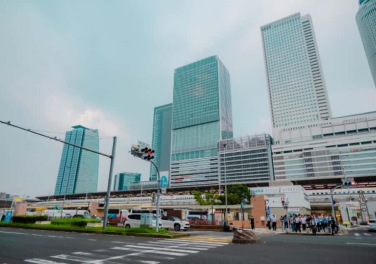 Nagoya: Private Customizable Shopping Tour with Guide - Why Choose This Tour?