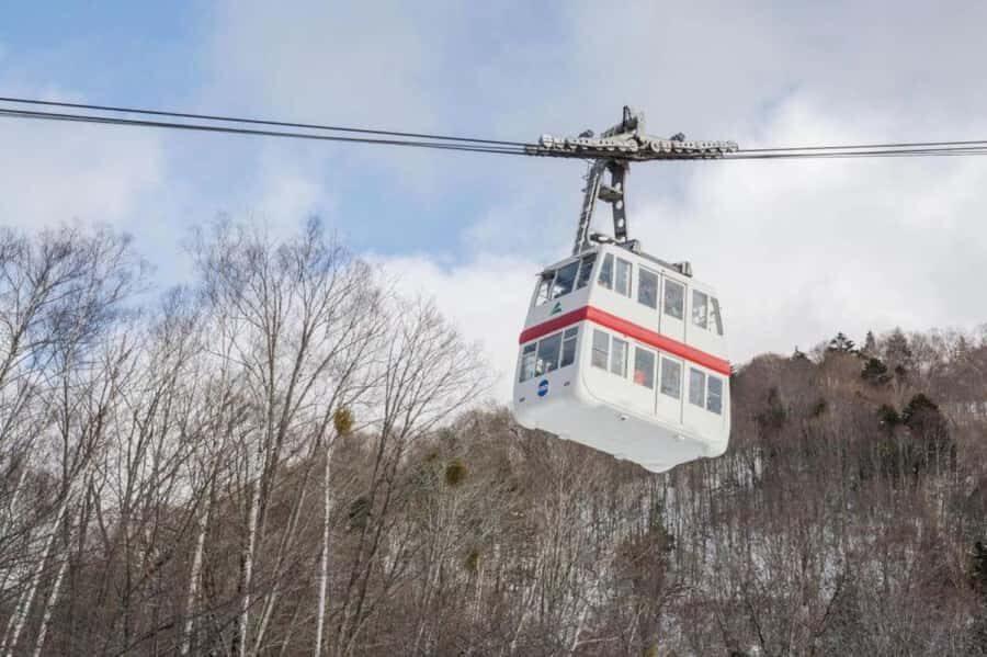 Nagoya return day tour Shin-Hotaka Ropeway& Hida Takayama - Who This Tour Is Best Suited For