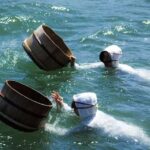 Nagoya Return, Ise Shrine, Mikimoto Pearl Island & Toba Tour - Visiting Futami Okitama Shrine and the Iconic Meoto Iwa