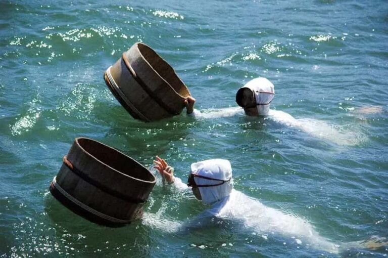 Nagoya Return, Ise Shrine, Mikimoto Pearl Island & Toba Tour - Visiting Futami Okitama Shrine and the Iconic Meoto Iwa