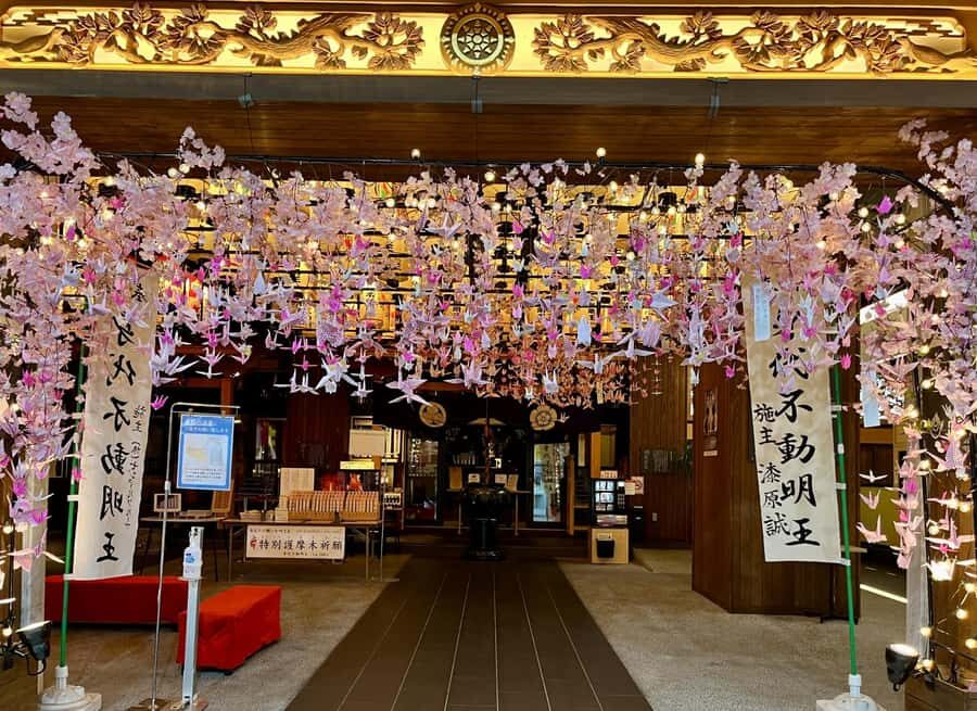 Nagoya Sakura Tour - Transportation and Group Size