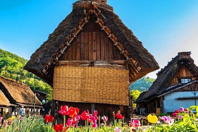 Nagoya Shirakawa go Private Transportation with English Driver - Cost and Value Analysis