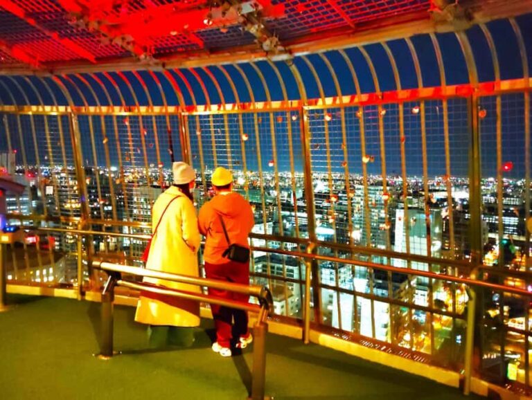 Nagoya: Two Towers, One Night of Urban Elegance - How the Tour Works: What to Expect