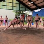 Nagoya: Visit Sumo Morning Practice with English Guide - What to Expect During the Experience
