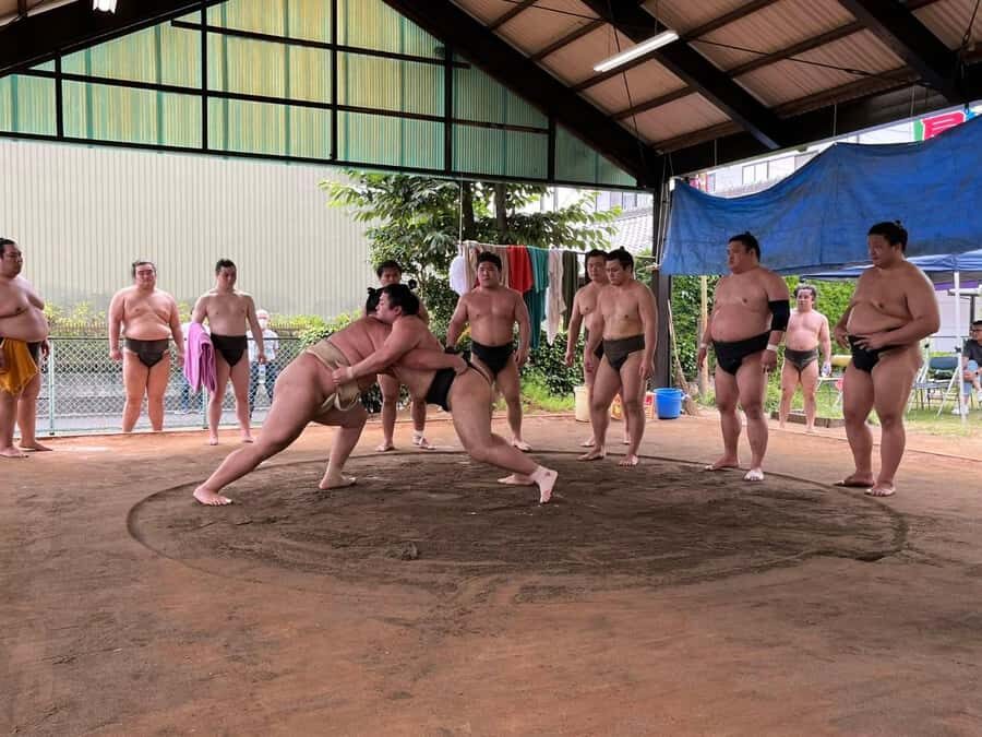 Nagoya: Visit Sumo Morning Practice with English Guide - What to Expect During the Experience