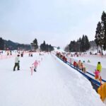 Nagoya: Washigatake Ski Resort Day Trip with Lift Ticket - An In-Depth Look at the Washigatake Ski Trip