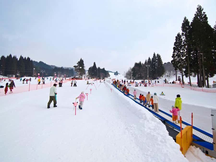Nagoya: Washigatake Ski Resort Day Trip with Lift Ticket - An In-Depth Look at the Washigatake Ski Trip