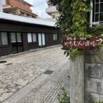 Naha in Step: A Walking Tour Through History and Island Life - Practical Details and Considerations