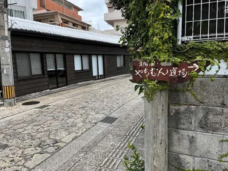 Naha in Step: A Walking Tour Through History and Island Life - Practical Details and Considerations