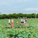 Nakhon Pathom: Lotus Pond Boat Ride and Temple Tour - Why This Tour Offers Good Value