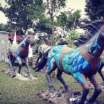 Nakula Sadewa Education Park Admission Ticket - Deep Dive into the Itinerary