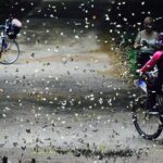 Nam Cat Tien National Park 2 Days 1 Night Tour - The Sum Up