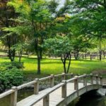 Nami Island, Alpaca World and Railbike Kimyujeong Tour - A Detailed Look at What You Can Expect