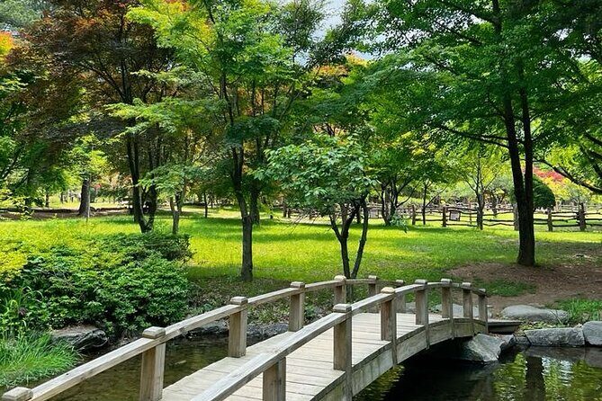 Nami Island, Alpaca World and Railbike Kimyujeong Tour - A Detailed Look at What You Can Expect