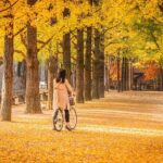 Nami Island and Begonia Bird Park Tour from Seoul (opt Railbike) - Who Is This Tour Best For?