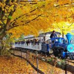 Nami Island, Apple Picking & Autumn Light Festival - Practical Details and What You Should Know