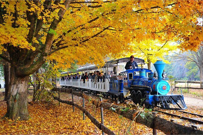 Nami Island, Apple Picking & Autumn Light Festival - Practical Details and What You Should Know