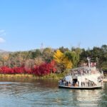 Nami Island, Apple Picking & The Alpaca Garden - Insights from Travelers