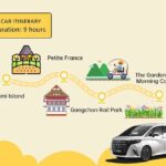 Nami Island from Seoul One Day Trip - What the Tour Offers and What to Expect