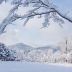 Nami Island One Day Trip with Gangchon Rail Bike from Seoul - What We Appreciate About This Tour