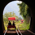 Nami Island & Strawberry Picking and Jam Making & Railbike - Practical Details and Value