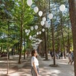 Nami, Petite France, Italian Village and Gangchon Rail Bike Tour - Practical Details and Tips