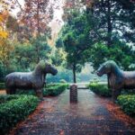 Nanjing Day Tour from Shanghai by Bullet Train - Practical Aspects and What to Expect