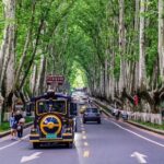 Nanjing One day Private Tour Republic of China Era Theme - Authentic Insights from Reviews