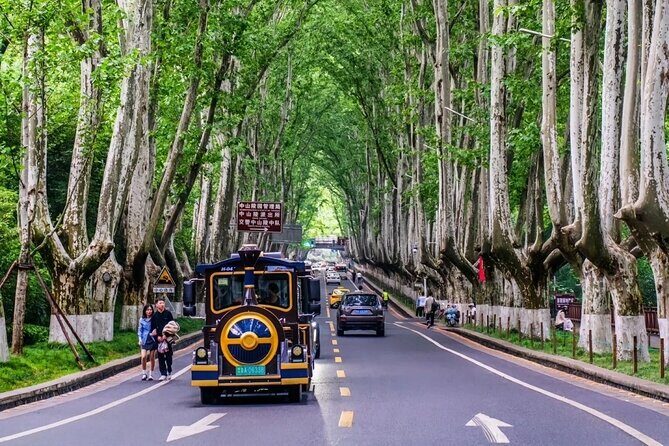 Nanjing One day Private Tour Republic of China Era Theme - Authentic Insights from Reviews