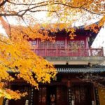 Nanjing Purple Mountain Private Tour with Tangshan Hot Spring Spa Experience - The Scenic Beauty of Purple Mountain