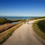 Napier: Cape Coast Winery Tour on E-Bikes - What’s Included and What to Expect