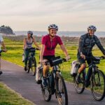 Napier: Cruise Self-Guided Cycle Ride to Winery - Half Day - What to Expect on the Day