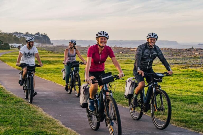 Napier: Cruise Self-Guided Cycle Ride to Winery - Half Day - What to Expect on the Day