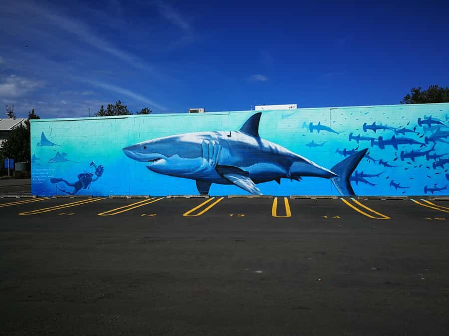 Napier: Shore Excursion with Wine Tasting and Platter - Discovering Napier’s Art Deco Character