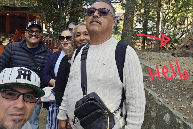 Nara Day Trip with Deer Park & Historic Temples,Shrine from Osaka - Practical Details and Logistics