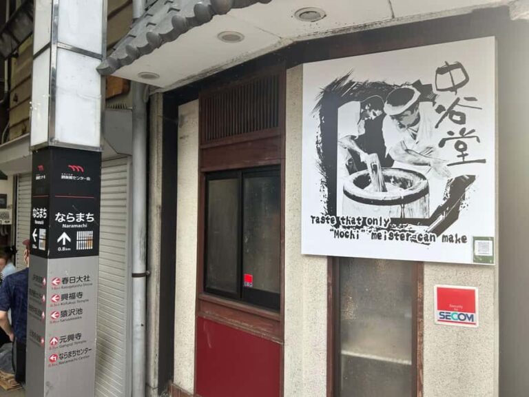 Nara: Deer, Great Buddha & Traditional Mochi Experience - Why You’ll Love This Tour