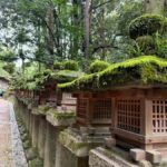 Nara: Deer, Temples, and Hidden Lanes Tour - Itinerary Breakdown and What to Expect