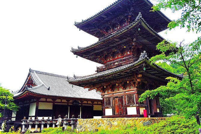 Nara: Discover a Giant Stone Buddha in the Forest Hills - Why This Tour Is Worth Considering