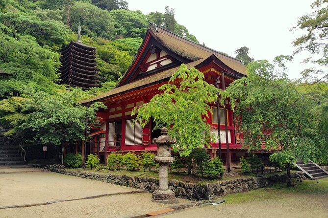 Nara: Explore Tanzan Shrines Pagoda and Sacred History - Practicalities and Value