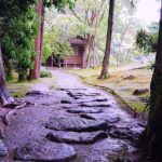 Nara: Isuien Garden Tour with Matcha Tea Experience - Practical Details & What to Expect