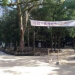 Nara: Kasuga Taisha Shrine Candlelight Tour with Drink - Deep Dive into the 3-Hour Itinerary