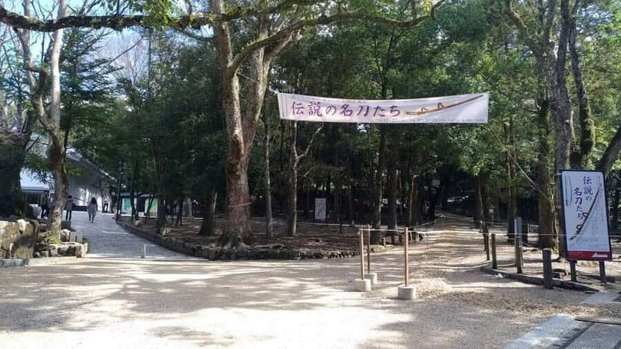 Nara: Kasuga Taisha Shrine Candlelight Tour with Drink - Deep Dive into the 3-Hour Itinerary